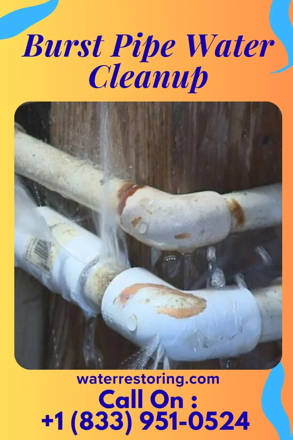 Burst Pipe Water Cleanup in Yelvington, KY