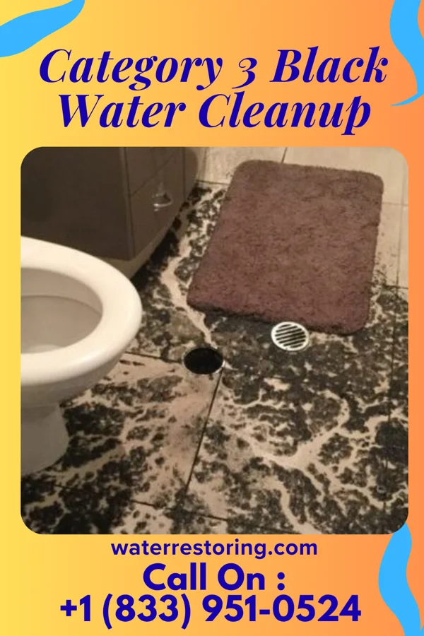 Category 3 Black Water Cleanup in Yelvington, KY