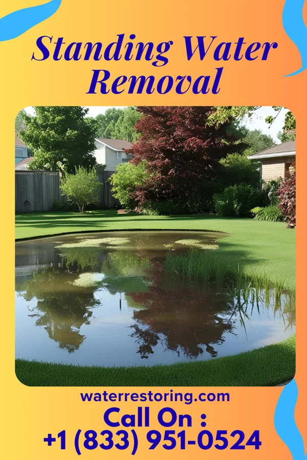 Standing Water Removal in Yelvington, KY